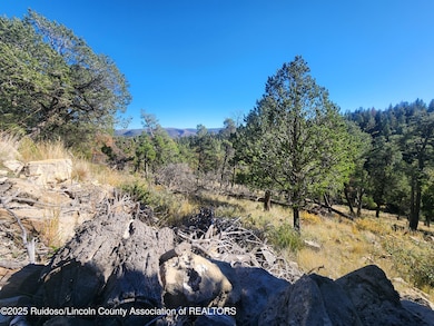 Lot 4 Guenevere Ave, Ruidoso, NM 88345 - photo 3