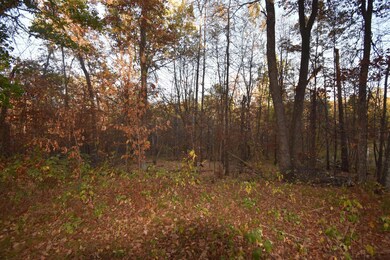 TBD Ranchette Dr, Breezy Point, MN 56472 - photo 6