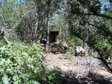12,38,40 Camino Circular, Cedro, NM 87059 - photo 2