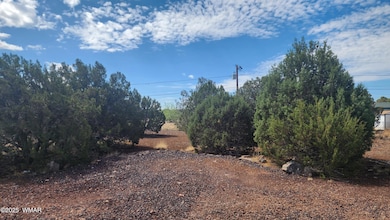 1762 Bighorn, Show Low, AZ 85901 - photo 2