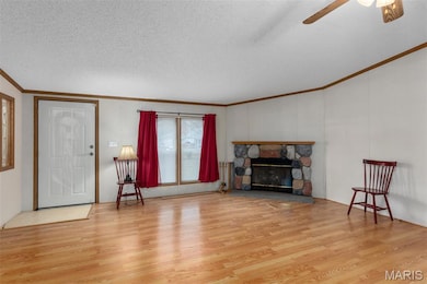 1207 Washington Ave, Staunton, IL 62088 - photo 5