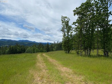 0 Business 18b Hwy unit 22447435, Willamina, OR 97396 - photo 3