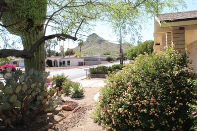 Beautiful Front Yard
