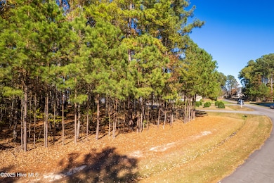 65 Standard Bred Way, Hertford, NC 27944 - photo 3