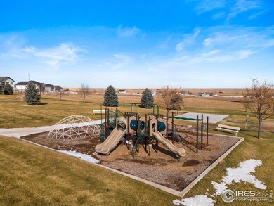 2551 Branding Iron Dr, Severance, CO 80524 - photo 5