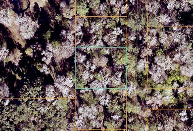 0 SE 41st Terrace unit MFRG5093130, Belleview, FL 34420 - photo 5