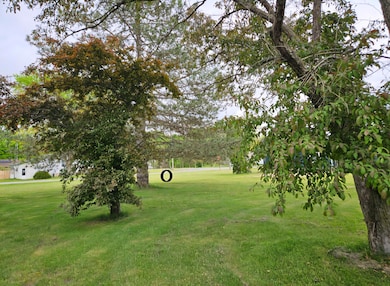 Tire Swing