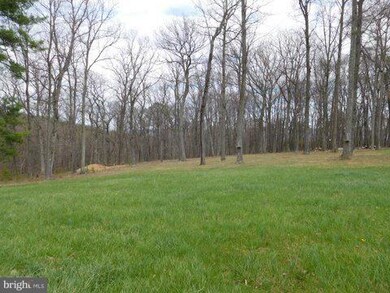 1716 Tub Run Hollow Rd, Hedgesville, WV 25427 - photo 6