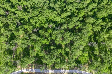 Lot 76 Restore Ridge, Harrison, AR 72601 - photo 6