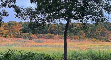 39 Sengekontacket Rd, Edgartown, MA 02539 - photo 7