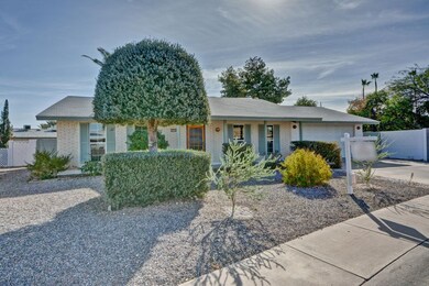 10337 W Caron Dr, Sun City, AZ 85351 - photo 3