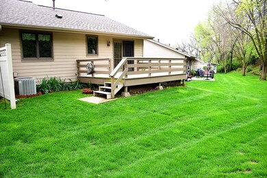 Back yard