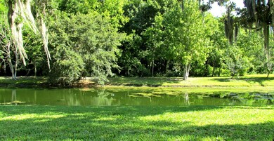 Pond View 1
