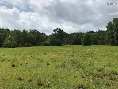 23000 Enoch Nettles Rd, Picayune, MS 39466 - photo 4