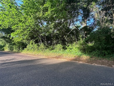 314 Mildred St, Ozark, AL 36360 - photo 3