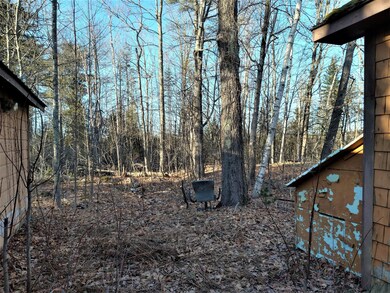 BACKYARD IS WOODED