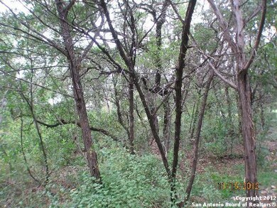 11122 Windy Willows, Helotes, TX 78023 - photo 3