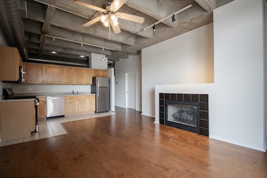 Rennaissance Place unit 508, Chicago, IL 60615 - photo 3