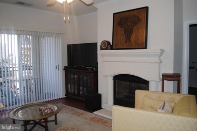 Bryson At Woodland Park unit 207, Herndon, VA 20171 - photo 3