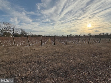 812 Garden Rd, Pittsgrove, NJ 08318 - photo 3