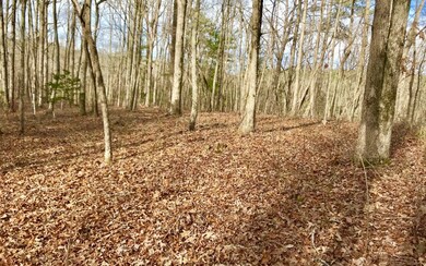 LT48 N Harris Creek Dr, Ellijay, GA 30540 - photo 2