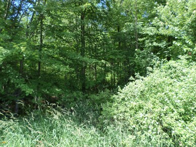 0 Calvin Hill St unit 18027304, Cassopolis, MI 49031 - photo 4