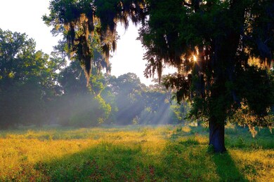 00 Laprada Trace - Tract 6, Fulshear, TX 77441 - photo 5