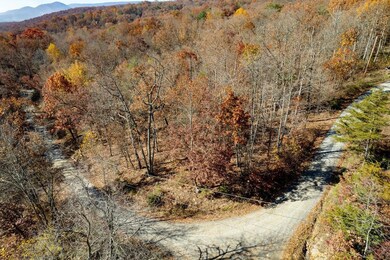 Lt G-51 Deer Track Rd, Luray, VA 22835 - photo 6