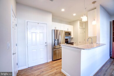 22607 Blue Elder Terrace unit 104, Ashburn, VA 20148 - photo 3