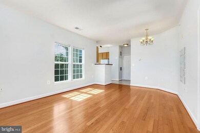 42446 Mayflower Terrace unit 304, Ashburn, VA 20148 - photo 5
