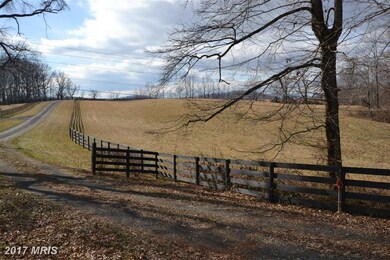 29 Sassafrass Ln, Amissville, VA 20106 - photo 3