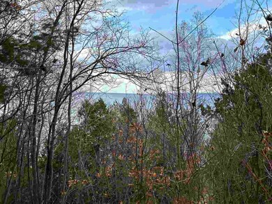 V/L Bay Shore Dr W unit 36, Bay Shore, MI 49720 - photo 7