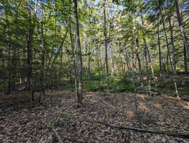 008-043-001 School House Rd, Francestown, NH 03043 - photo 4