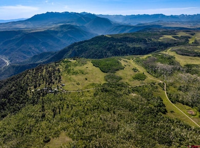 3289 Laughing Dog Rd, Placerville, CO 81430 - photo 4