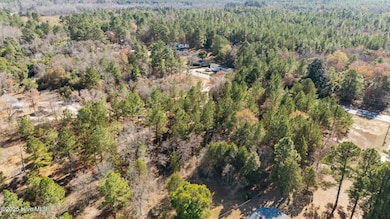 527 Addor Rd, Pinebluff, NC 28373 - photo 4