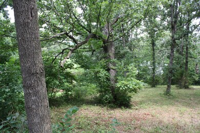 Tbd Silverbell Dr, Ruth B Rural Township, MO 65686 - photo 2