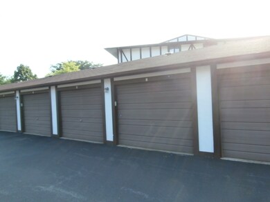 11045 S Theresa Cir unit 2A, Palos Hills, IL 60465 - photo 3