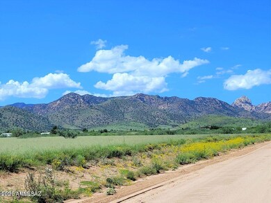 3.6 ACRE on Treasure Rd (6)