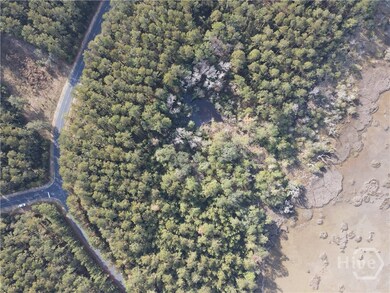 Lot 45 Marsh Dr NE, Crescent, GA 31331 - photo 6