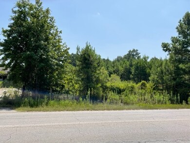 10881 Fostoria Rd, Cleveland, TX 77328 - photo 3