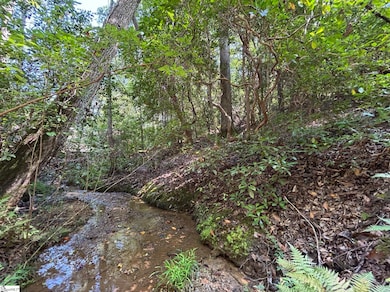 00 Whitewater Lake Rd, Tamassee, SC 29686 - photo 4