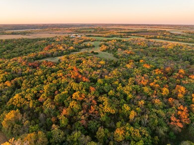 2990 170th St, Valley Falls, KS 66088 - photo 6
