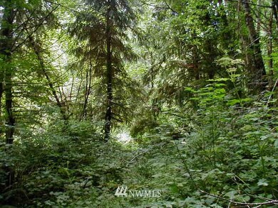 unlisted-address, Raymond, WA 98577 - photo 3