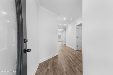 1717 Appian Way, Knoxville, TN 37923 - photo 4