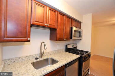 11208 Chestnut Grove Square unit 211, Reston, VA 20190 - photo 6