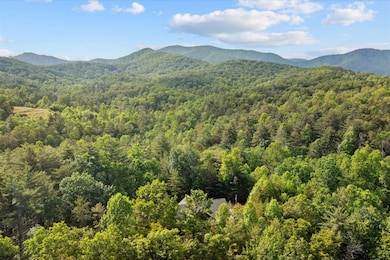 3691 Flagpole Rd, Ellijay, GA 30540 - photo 3