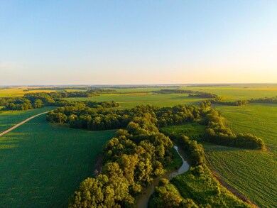 + - 705 Acres unit Tallahatchie County, Drew, MS 38944 - photo 2