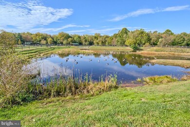 4839 Hiteshow Dr unit 304, Frederick, MD 21703 - photo 5