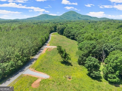 0 Arthur Allen Rd unit 10646088, Cleveland, GA 30528 - photo 3