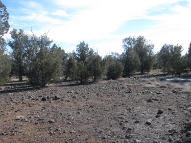 0 Lucky Ln unit 991210, Ash Fork, AZ 86320 - photo 4